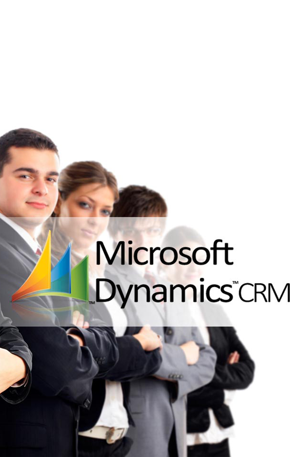 microsoft dynamics crm consultant